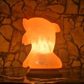 Dolphin Shape Natural Salt Lamp