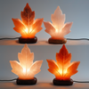 Leaf Shape Natural Salt Lamp